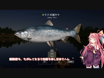茜お姉ちゃんが川釣りのバイトをする話　2023：6月号