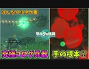 ゼルダは音ゲー･瘴気の手の根元･エノキダドミノ･やばいユン坊など小ネタ集～みんなの動画畑～【ティアキン TotK】