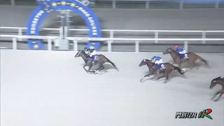 第48回栄冠賞（モズアスコット賞） ストリーム