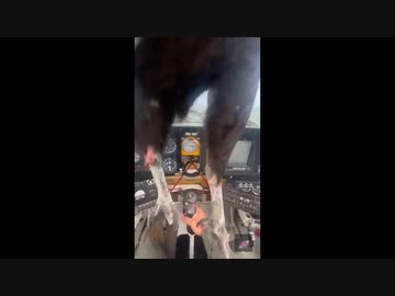 飛行中にバードストライクに遭うとこうなる