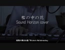 檻の中の花 弾き語りしました  Sound Horizon