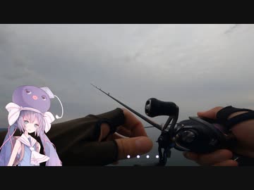 うなぎのさかなつり　#2　ボトムワインド編