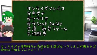 【ゆっくりPOG対決2023-2024】早苗指名馬紹介