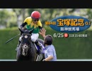 【中央競馬】プロ馬券師よっさんの第64回 宝塚記念（GⅠ）