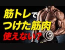 筋トレでつけた筋肉は使えないのか？ | ボディビルチャンピオンが解説【ビーレジェンド プロテイン】