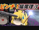 【ゆっくり茶番】ピンチ！ネコになった魔理沙がかなりヤバそうな奴にやられそうになり…【３話】