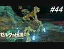 【ティアキン】地底で新しい相棒に出会いました。【ゼルダの伝説 ティアーズ オブ キングダム】実況プレイ part44