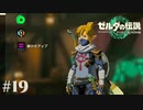 【ゼルダの伝説 Tears of the Kingdom】サンサンサンサンサンサンサン…【実況】#19