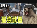 【APEX】世界一やかましいやつが叫ぶだけ#5【VOICEROID実況/COEIROINK実況】