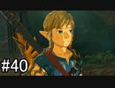 【実況】空の島から始まる新たな冒険【ゼルダの伝説 ティアーズ オブ ザ キングダム】part40