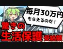 【ずんだもんと学ぶ】医療費も税金もかからない最強の職業生活保護