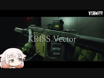 KRISS Vector 晴らすべく戦います。【ONE実況】【タルコフ】【EFT】