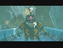 【ティアキンだけは】part.30【実況させて】