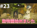 魔法動物たちのなんとも言えない可愛さがたまらん【ホグワーツ・レガシー】#23