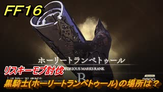 ＦＦ１６　黒騎士(ホーリートランペトゥール)の場所は？　リスキーモブ討伐　＃２１１　【ファイナルファンタジー１６】