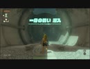 【ゼルダの伝説 ティアーズ オブ ザ キングダム】再びハイラルを救うまで【実況】 part36
