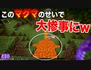 いつもマグマやらなんやら使って味方の邪魔ばっかりしてたら、ついにその報いを受けたwwwwwww【World of Color Wheel #10】