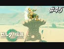 【ティアキン】地中から空へ打ち上げられました【ゼルダの伝説 ティアーズ オブ キングダム】実況プレイ part45