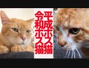 平成のボス猫と令和のボス猫、ふたりの交差点