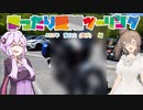 まったり愛知ツーリング　2023年　茶臼山(芝桜)編