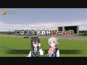 こはるりスタリオン　第13レース