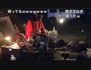 玉ネギを吸う豚