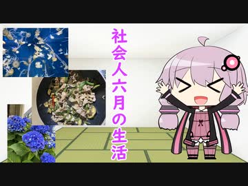 6月の生活