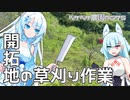 2023年6月29日　農作業日誌P675　委託統治領となっているみかん畑の草刈りを一杯頑張った！
