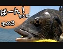 ヒットとかいろいろ　ばーん！まとめ3【VOICEROIDフィッシング】