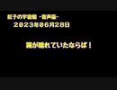 紅子の宇宙船 －音声版－ 2023年06月29日