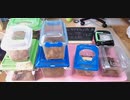 ｛昆虫｝夏が来た！　ヤマトカブトムシ軍団｛飼育｝