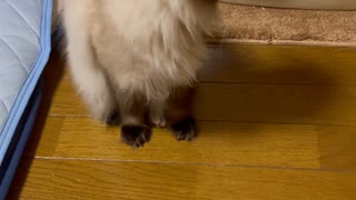 おはよう□
