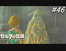 【ティアキン】男には戦わなきゃいけない時がある【ゼルダの伝説 ティアーズ オブ キングダム】実況プレイ part46