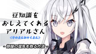 豆知識をおしえてくれるアリアルさん(404)【coefont劇場】