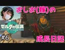 【嫁とゼルダ】アクション苦手なおしおのゼルダの伝説成長日記#6【ゼルダの伝説totk】
