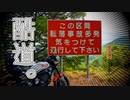 【バイク車載動画】酷いトコ突っ込んだらそら絶景なんよ【キャンプツー和歌山Part.4】