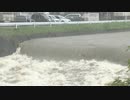 【梅雨前線】写真と映像で見る“大雨”何度も冠水した経験のある市民の反応～九州に大雨