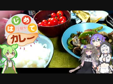 【はじめてカレー投稿祭３３】スリランカ風レバーカレー