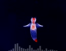 ?【耳コピ】