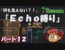 [Terraria]　『Ｅｃｈｏ縛り』パート１２　[ゆっくり実況]