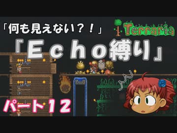 [Terraria]　『Ｅｃｈｏ縛り』パート１２　[ゆっくり実況]