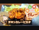 【はじめてカレー投稿祭】つむぎ「人に迷惑をかけるなぁ！！」