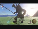 【実況】ハイラルソードTK　その9