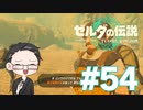 【実況プレイ】 ゼルダの伝説 ティアーズオブザキングダム part54 【いちご大福】