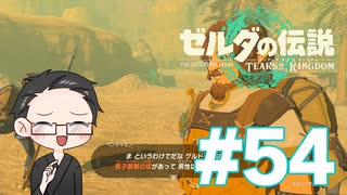 【実況プレイ】 ゼルダの伝説 ティアーズオブザキングダム part54 【いちご大福】