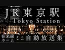 895 【作業用BGM】東京駅在来線　ﾐﾆ自動放送集　Tokyo Station Announcements Compilation (JR Local Lines Platform)