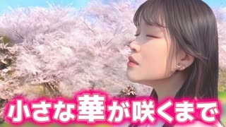 小さな華が咲くまで／紗栄華