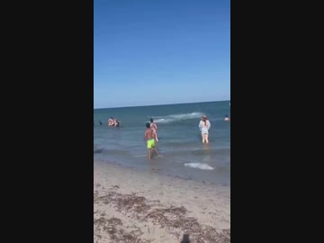 ホモと見るイワシの逆襲