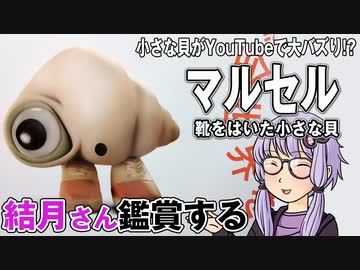 映画「マルセル　靴をはいた小さな貝」を結月さん鑑賞する