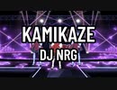 【パラパラ踊ってみた】KAMIKAZE-DJ NRG(パラパラあらかると#8)